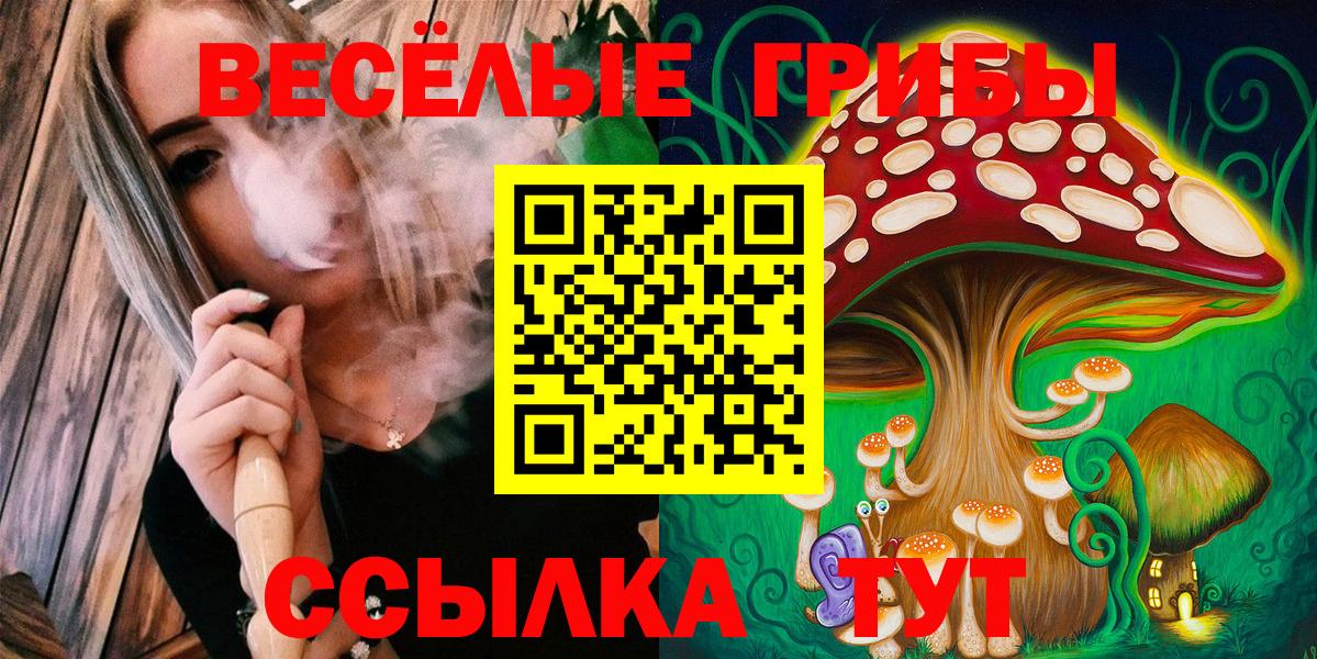 Галлюциногенные грибы мицелий Щёкино