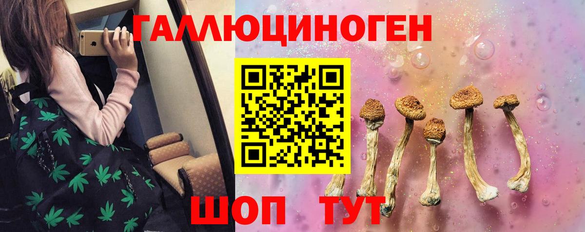 Щёкино  Псилоцибиновые грибы Magic Shrooms  Псилоцибиновые грибы Psilocybine cubensis  Вход с VPN 